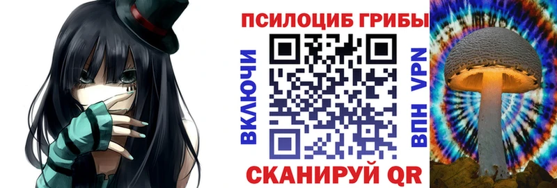 дарнет шоп  Татарск  Псилоцибиновые грибы Psilocybine cubensis 